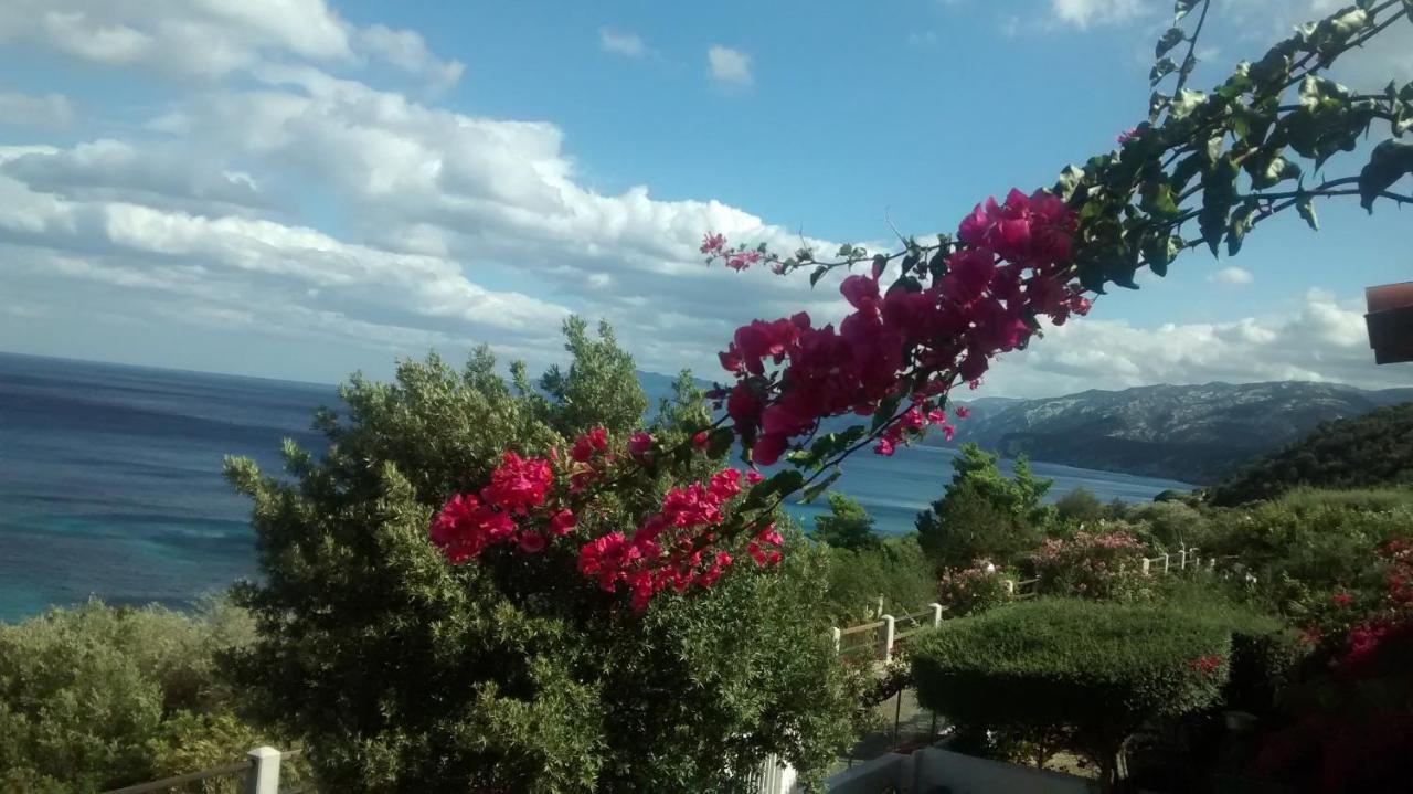 Independent With Spectacular View Holiday home